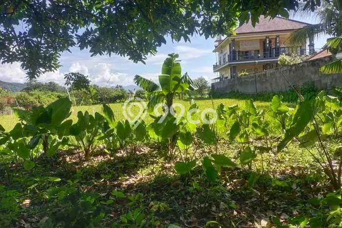 Tanah Kavling Dijual di Buleleng dengan Spesifikasi 1400m2 Tanah Kavling Dijual di Buleleng dengan Spesifikasi 1400m2