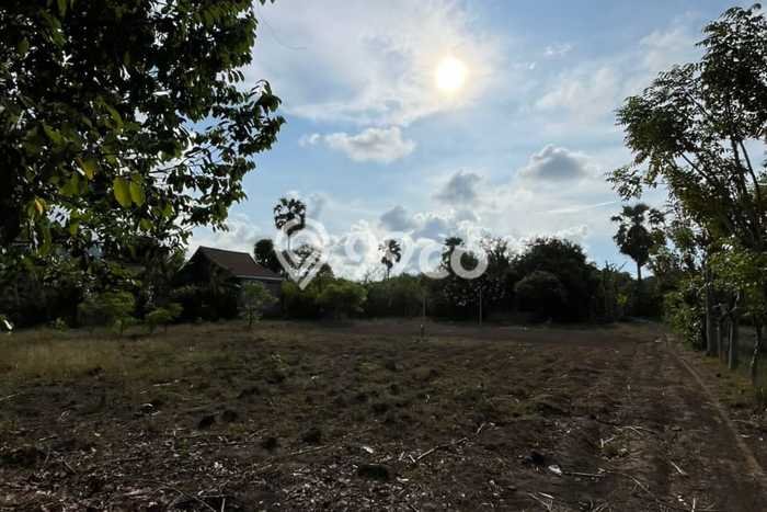 Tanah Dijual Lokasi Gerokgak, Buleleng dengan Luas Tanah 620m2 dan Status SHM Tanah Dijual Lokasi Gerokgak, Buleleng dengan Luas Tanah 620m2 dan Status SHM