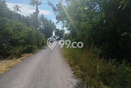 Lahan Investasi Lokasi Kubu Karangasem SHM Lahan Investasi Lokasi Kubu Karangasem SHM
