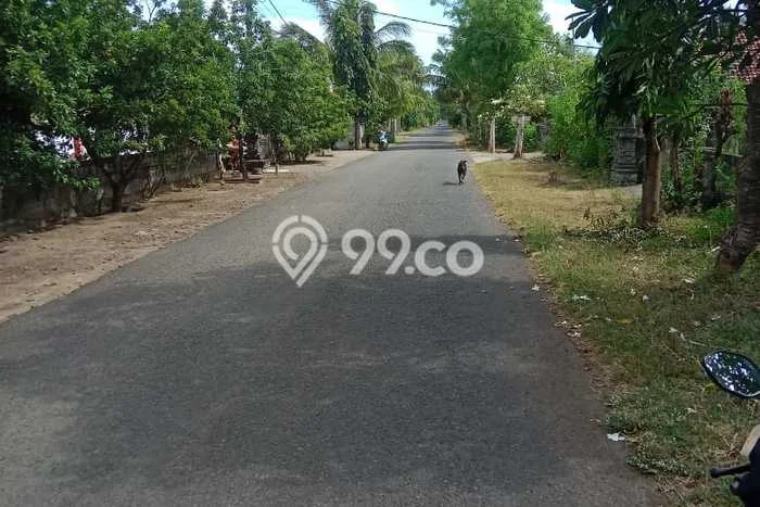 Hunian Cantik Minimalis Lb 150m2 di Gerokgak, Buleleng Hunian Cantik Minimalis Lb 150m2 di Gerokgak, Buleleng