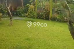 HARGA TERBAIK! Vila di Gerokgak, Area 1250m2m², Lokasi Prima HARGA TERBAIK! Vila di Gerokgak, Area 1250m2m², Lokasi Prima