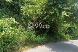 Tanah Dijual di Buleleng Seluas 2200m2 Strategis Tanah Dijual di Buleleng Seluas 2200m2 Strategis