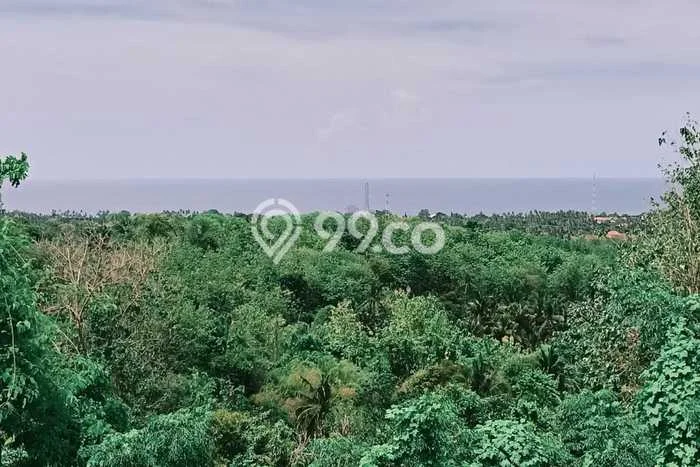 Kavling Tanah Dijual di Buleleng, Buleleng, Luas 1000m2 Area Strategis Kavling Tanah Dijual di Buleleng, Buleleng, Luas 1000m2 Area Strategis