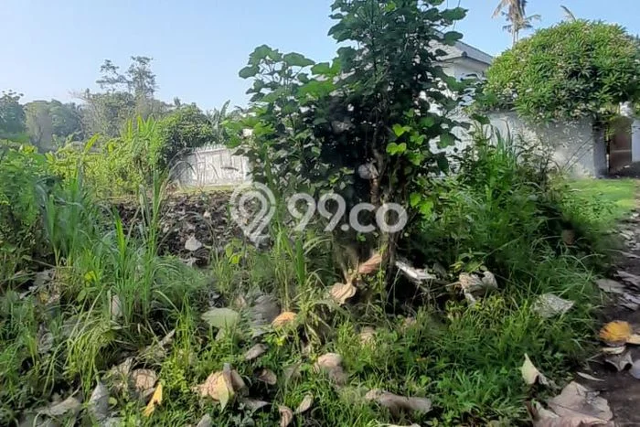 Dijual Tanah Lokasi Prima Kawasan Lovina, Luas 370m2m², Akses Lovina, Buleleng, Buleleng Dijual Tanah Lokasi Prima Kawasan Lovina, Luas 370m2m², Akses Lovina, Buleleng, Buleleng