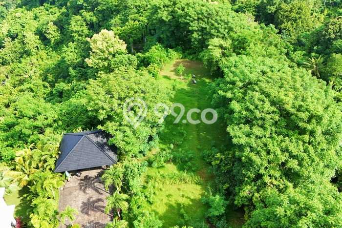Tanah Investasi Dijual di Buleleng Punya Luas 4330m2 Tanah Investasi Dijual di Buleleng Punya Luas 4330m2