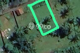 Tanah Kavling Dijual di Lovina, Buleleng dengan Luas Tanah 300m2 Tanah Kavling Dijual di Lovina, Buleleng dengan Luas Tanah 300m2