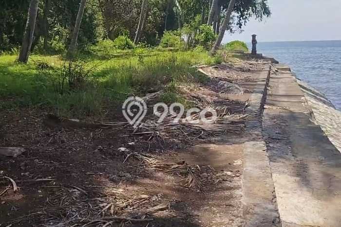 Tanah Dijual Lokasi Tejakula Buleleng SHM Tanah Dijual Lokasi Tejakula Buleleng SHM