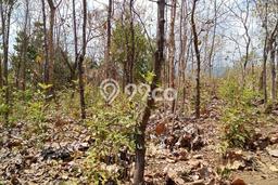 Kavling Tanah untuk Dijual di Kaliasem, Buleleng, Luas 1000m2 Kavling Tanah untuk Dijual di Kaliasem, Buleleng, Luas 1000m2