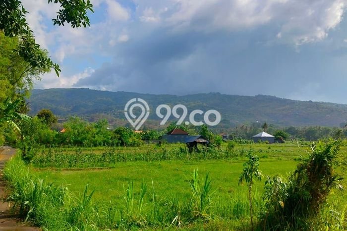 Jual Tanah Area Prospektif di Lovina, Luas 4800m2m², Dekat Lovina, Buleleng, Buleleng Jual Tanah Area Prospektif di Lovina, Luas 4800m2m², Dekat Lovina, Buleleng, Buleleng