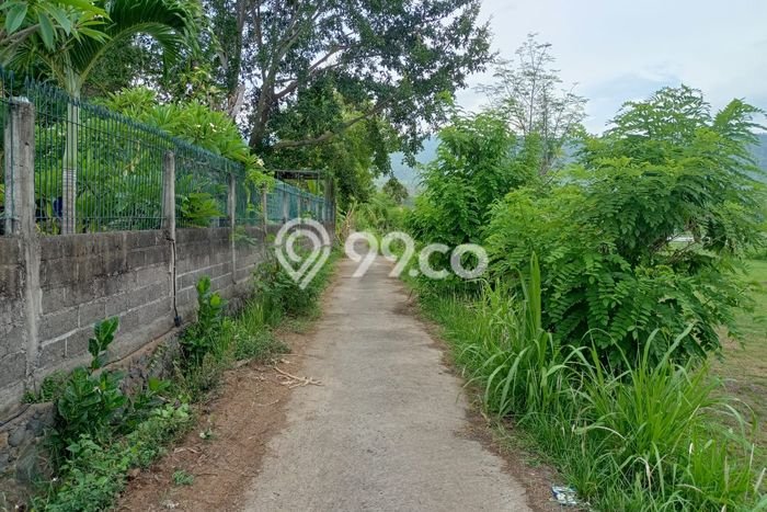 Jual Tanah Area Prospektif di Lovina, Luas 4800m2m², Dekat Lovina, Buleleng, Buleleng Jual Tanah Area Prospektif di Lovina, Luas 4800m2m², Dekat Lovina, Buleleng, Buleleng