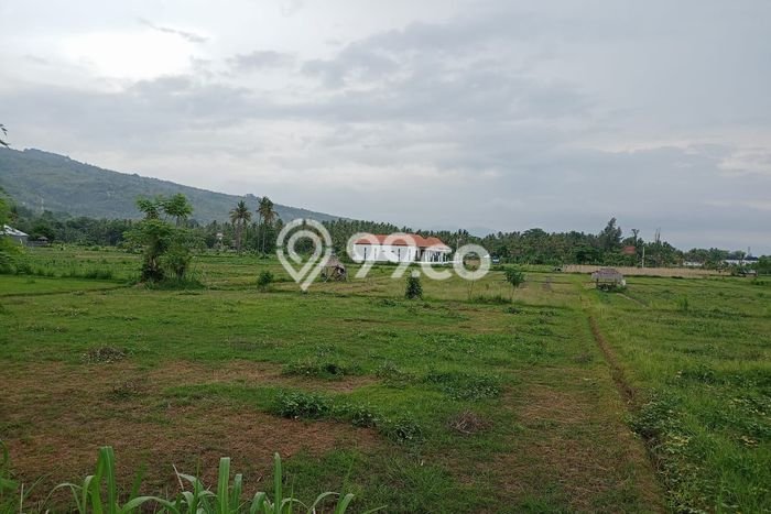 Jual Tanah Area Prospektif di Lovina, Luas 4800m2m², Dekat Lovina, Buleleng, Buleleng Jual Tanah Area Prospektif di Lovina, Luas 4800m2m², Dekat Lovina, Buleleng, Buleleng