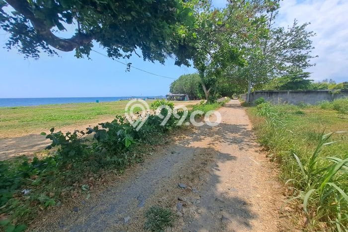 Tanah Dijual Lokasi Seririt, Buleleng Luas 3100m2 Legalitas Aman Tanah Dijual Lokasi Seririt, Buleleng Luas 3100m2 Legalitas Aman