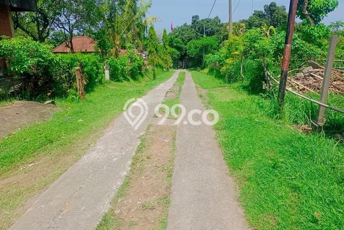 Dijual Tanah 1000m2 di Lovina, Buleleng Dijual Tanah 1000m2 di Lovina, Buleleng