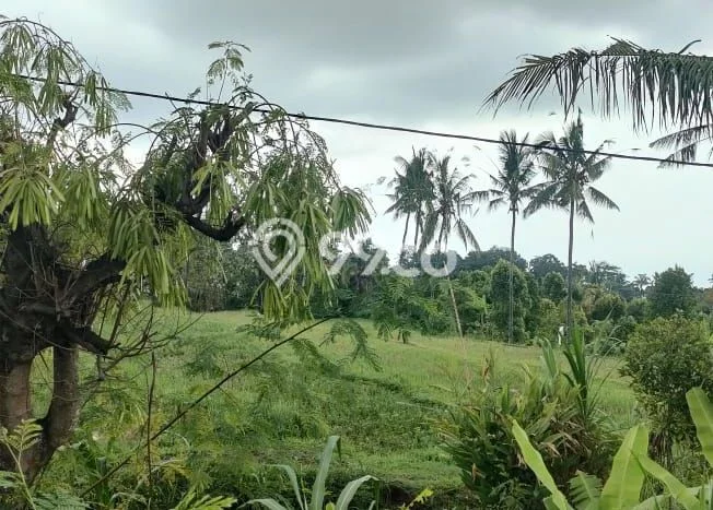 HOT DEAL! Tanah Kawasan Panji, Luas 1000m2m², Area Premium HOT DEAL! Tanah Kawasan Panji, Luas 1000m2m², Area Premium