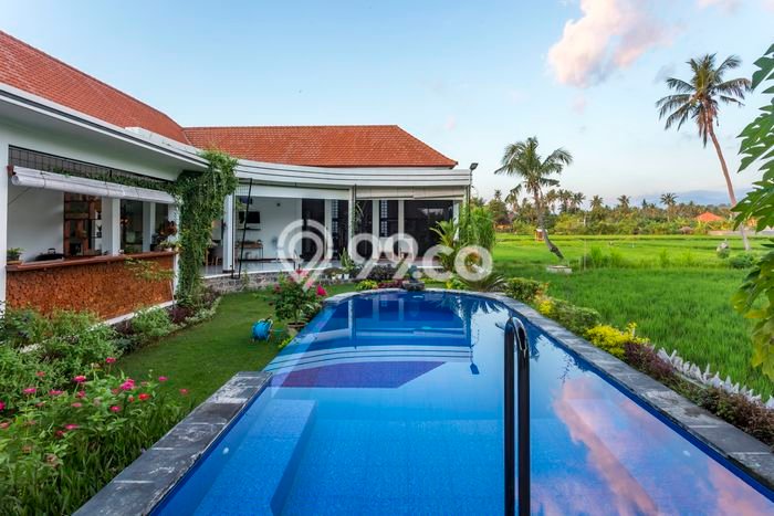 Rumah Harga Nego LT 600m2m² di Kawasan Residential Lovina, Buleleng Rumah Harga Nego LT 600m2m² di Kawasan Residential Lovina, Buleleng