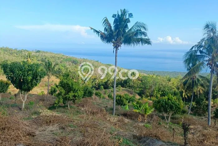 PENAWARAN MENARIK! Tanah Kawasan Kubutambahan, Luas 90000m2m², Area Potensial PENAWARAN MENARIK! Tanah Kawasan Kubutambahan, Luas 90000m2m², Area Potensial