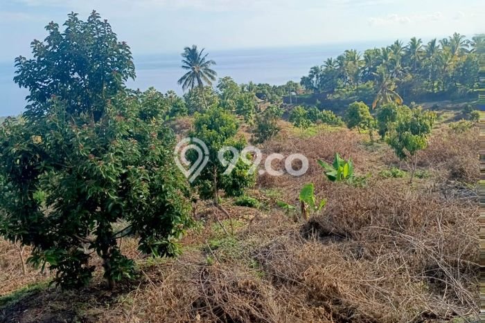 PENAWARAN MENARIK! Tanah Kawasan Kubutambahan, Luas 90000m2m², Area Potensial PENAWARAN MENARIK! Tanah Kawasan Kubutambahan, Luas 90000m2m², Area Potensial