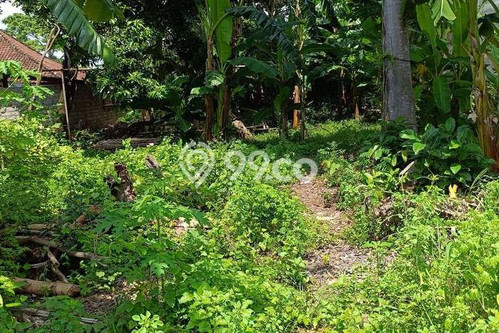 Tanah Strategis di Lovina, Luas 400m2m², Cocok untuk Investasi Tanah Strategis di Lovina, Luas 400m2m², Cocok untuk Investasi