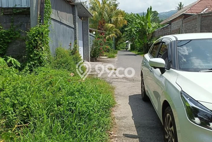 Tanah Strategis di Lovina, Luas 400m2m², Cocok untuk Investasi Tanah Strategis di Lovina, Luas 400m2m², Cocok untuk Investasi
