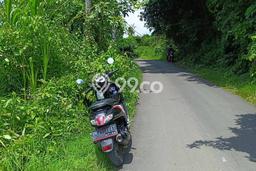 Dijual Tanah 500m2 di Lovina, Buleleng Dijual Tanah 500m2 di Lovina, Buleleng