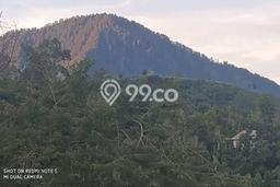 Dijual Tanah di Buleleng, Luas 11000m2 SHM Dijual Tanah di Buleleng, Luas 11000m2 SHM