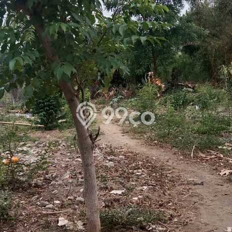 Tanah Dijual Lokasi Gerokgak, Buleleng dengan Luas Tanah 1000m2 dan Status SHM Tanah Dijual Lokasi Gerokgak, Buleleng dengan Luas Tanah 1000m2 dan Status SHM