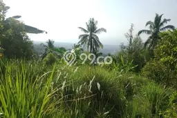Dijual Tanah 4300m2 di Panji, Buleleng Dijual Tanah 4300m2 di Panji, Buleleng