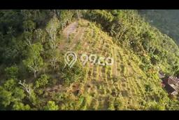 Tanah Dijual Lokasi Seraya, Karangasem Luas 10000m2 Legalitas Aman Tanah Dijual Lokasi Seraya, Karangasem Luas 10000m2 Legalitas Aman