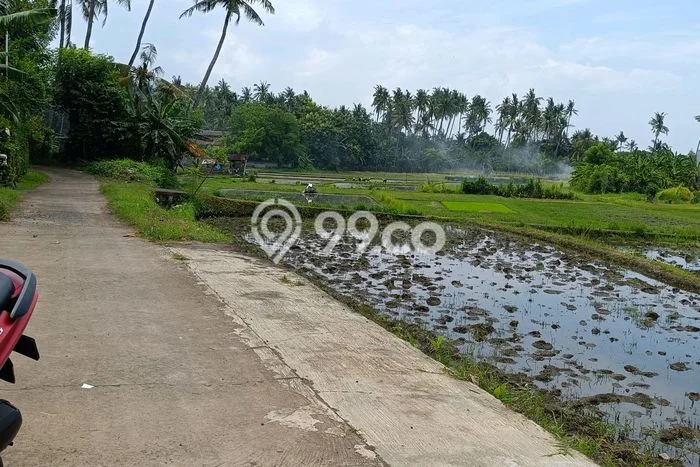 Untuk Dijual Tanah 1900m2 di Anturan, Buleleng Untuk Dijual Tanah 1900m2 di Anturan, Buleleng