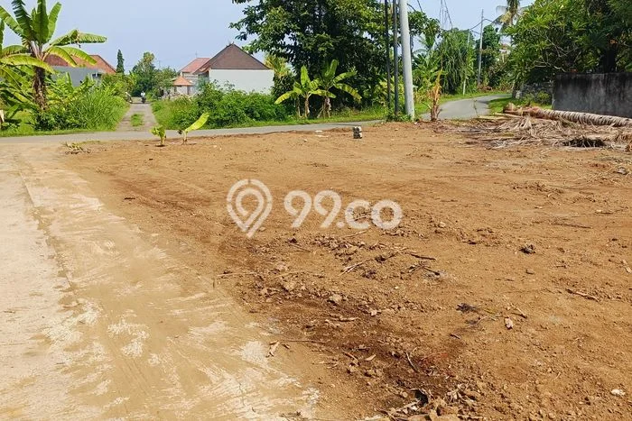 Dijual Tanah Lokasi Lovina, Buleleng Seluas 482m2 Dijual Tanah Lokasi Lovina, Buleleng Seluas 482m2