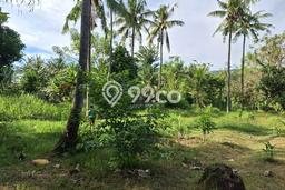 Untuk Dijual Tanah 1100m2 di Kaliasem, Buleleng Untuk Dijual Tanah 1100m2 di Kaliasem, Buleleng