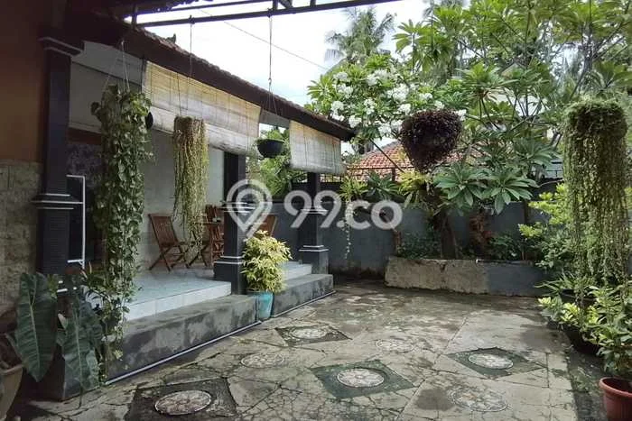 Rumah Luas Asri 3 KT Siap Huni di Kaliasem Buleleng Rumah Luas Asri 3 KT Siap Huni di Kaliasem Buleleng