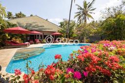 DIJUAL! Vila Kawasan Seririt, Area 1300m2m², Posisi Premium DIJUAL! Vila Kawasan Seririt, Area 1300m2m², Posisi Premium