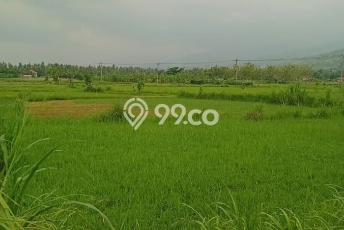 Tanah Kawasan Lovina, Luas 470m², Akses Pusat Kota, Potensi Bagus Tanah Kawasan Lovina, Luas 470m², Akses Pusat Kota, Potensi Bagus