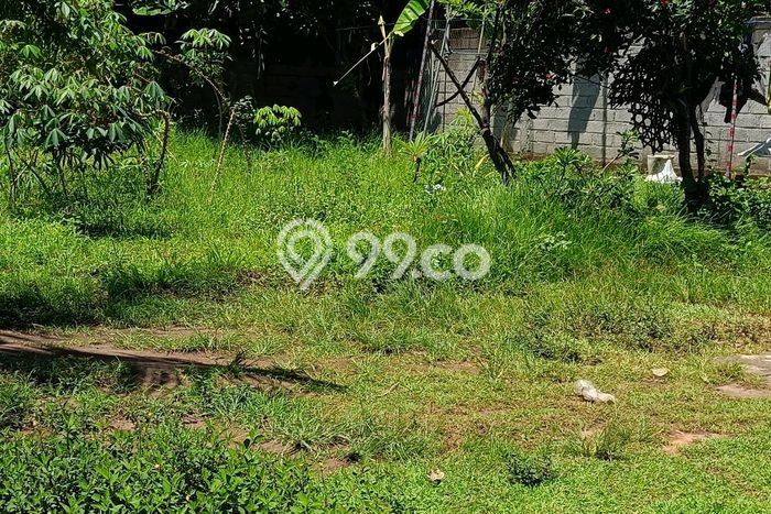 Untuk Dijual Tanah di Buleleng, Luas 1000m2 SHM Untuk Dijual Tanah di Buleleng, Luas 1000m2 SHM