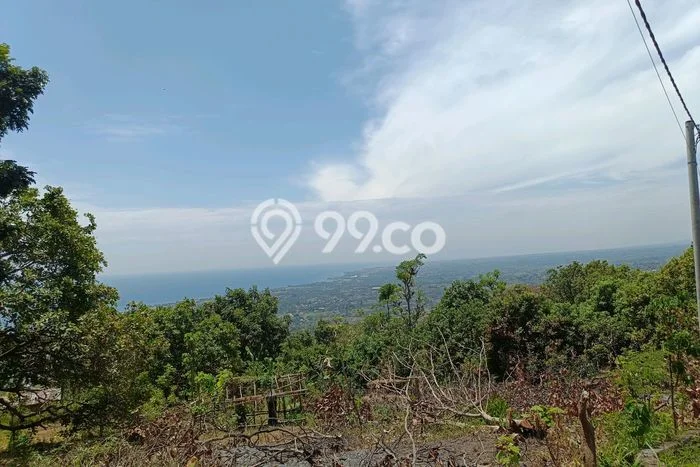 Tanah Dijual di Buleleng Seluas 2200m2 Strategis Tanah Dijual di Buleleng Seluas 2200m2 Strategis