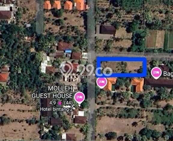 Lahan untuk Dijual Lokasi Gerokgak, Buleleng Luas 1000m2 SHM Lahan untuk Dijual Lokasi Gerokgak, Buleleng Luas 1000m2 SHM