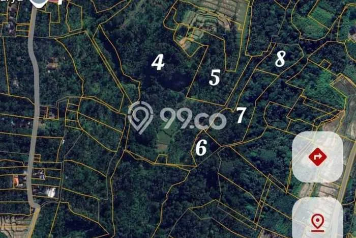Lahan Dijual Lokasi Payangan, Gianyar dengan Luas Tanah 64000m2 dan Status SHM Lahan Dijual Lokasi Payangan, Gianyar dengan Luas Tanah 64000m2 dan Status SHM