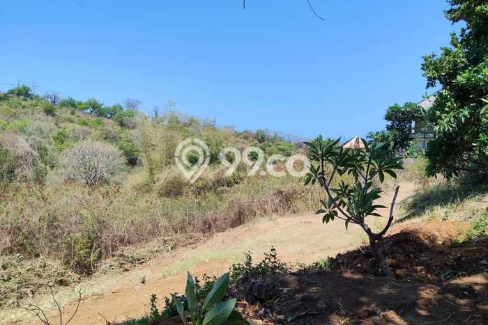 Kavling Tanah untuk Dijual di Temukus, Buleleng, Luas 2400m2 Kavling Tanah untuk Dijual di Temukus, Buleleng, Luas 2400m2
