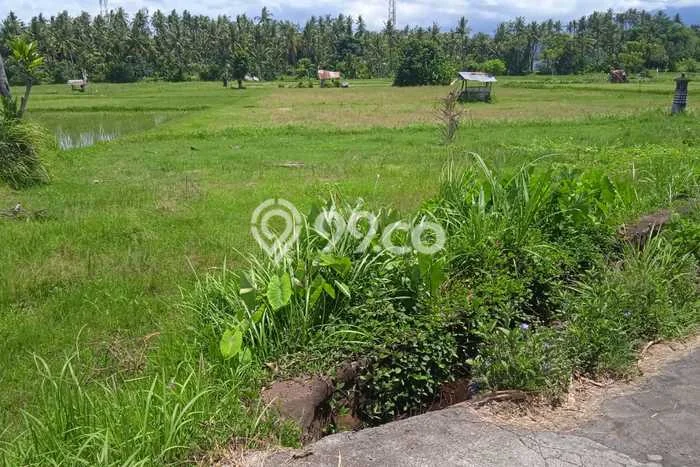 Untuk Dijual Tanah di Buleleng, Luas 3800m2 SHM Untuk Dijual Tanah di Buleleng, Luas 3800m2 SHM