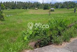Untuk Dijual Tanah di Buleleng, Luas 3800m2 SHM Untuk Dijual Tanah di Buleleng, Luas 3800m2 SHM