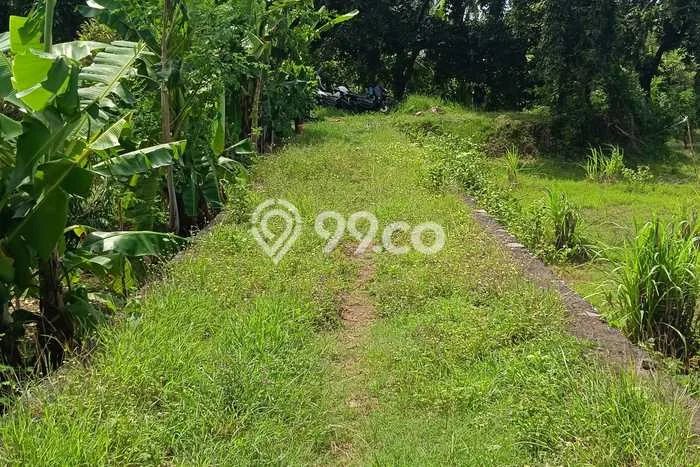 Kavling Tanah Dijual di Buleleng, Buleleng, Luas 1000m2 Area Strategis Kavling Tanah Dijual di Buleleng, Buleleng, Luas 1000m2 Area Strategis