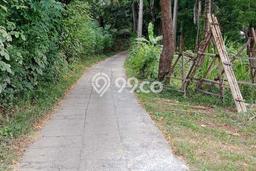 Tanah Dijual di Buleleng Seluas 500m2 Strategis Tanah Dijual di Buleleng Seluas 500m2 Strategis
