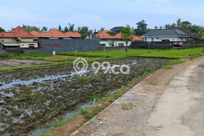 Untuk Dijual Tanah 1900m2 di Anturan, Buleleng Untuk Dijual Tanah 1900m2 di Anturan, Buleleng