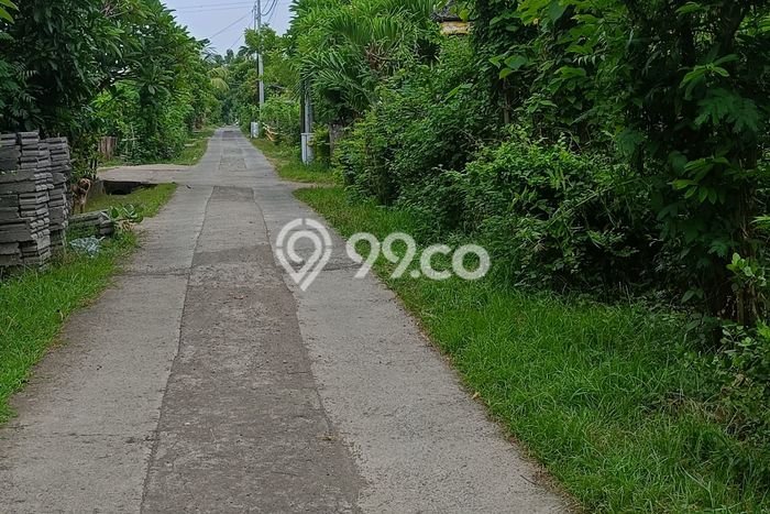 Lahan untuk Dijual di Gerokgak Buleleng Luas 900m2 Lahan untuk Dijual di Gerokgak Buleleng Luas 900m2