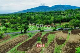 Jarang Ada! Tanah di Amed Punya Luas 500m2 SHM Jarang Ada! Tanah di Amed Punya Luas 500m2 SHM