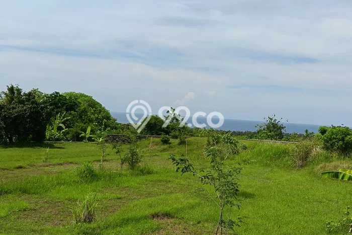 Kavling Tanah Dijual di Buleleng, Buleleng, Luas 1000m2 Area Strategis Kavling Tanah Dijual di Buleleng, Buleleng, Luas 1000m2 Area Strategis