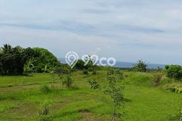 Kavling Tanah Dijual di Buleleng, Buleleng, Luas 1000m2 Area Strategis Kavling Tanah Dijual di Buleleng, Buleleng, Luas 1000m2 Area Strategis