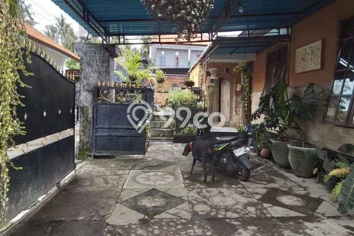 Rumah Luas Asri 3 KT Siap Huni di Kaliasem Buleleng Rumah Luas Asri 3 KT Siap Huni di Kaliasem Buleleng