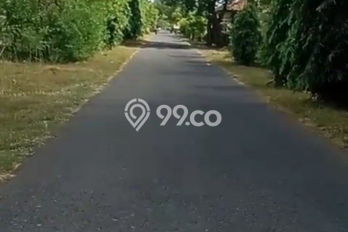 Tanah Kavling untuk Dijual di Gerokgak Buleleng 1000m2 Tanah Kavling untuk Dijual di Gerokgak Buleleng 1000m2